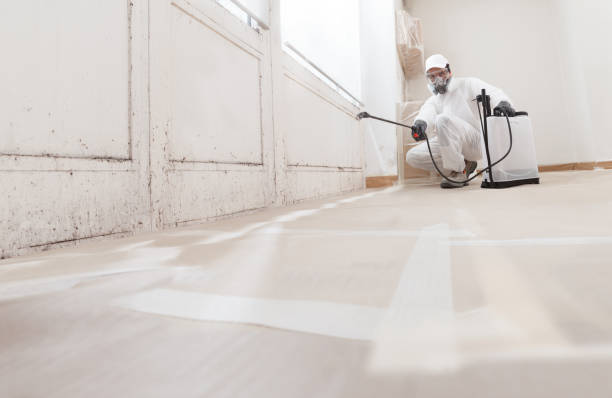 24/7 Emergency Mold Inspection experts in Wheaton, MD